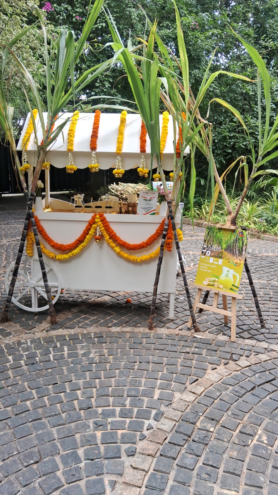 Sugarcane Juice Counters