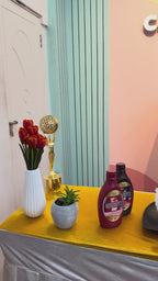 Premium Softy Counter for Events